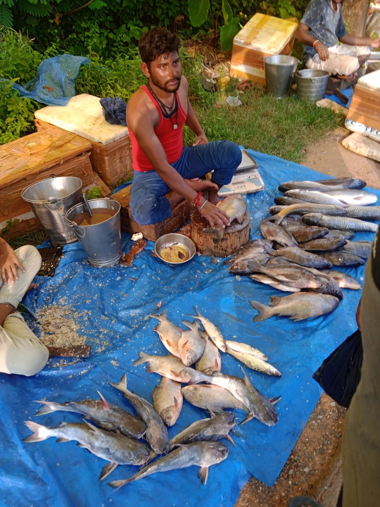 FIG Member Under Project Selling Fish In Market
